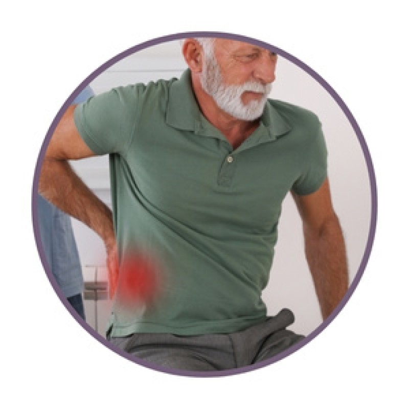 Билки за бъбреците