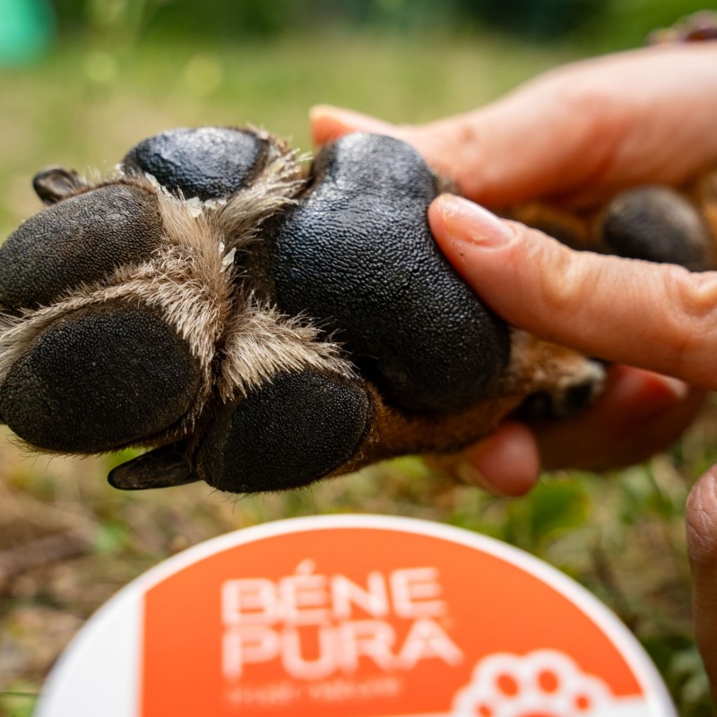 3x Регенериращ Мехлем за Лапички, Кожа и Нос за Домашни любимци - 40мл